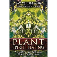 Fumeyabi Plant Spirit Healing: A Guide To Working With Plant Consciousness (Kapak Resmi Değişebilir)