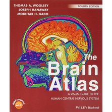 Fumeyabi The Brain Atlas: A Visual Guide To The Human Central Nervous System
