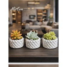 Mini Saksı Seti 5 cm – El Yapımı Dekoratif Beton Saksı | Küçük Sukulent Saksısı, Masa & Raf Dekoru, Modern Minimal Tasarım (Bitki Dahil Değildir)