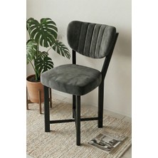 Sandalye 1 Adet Baby Face Kumaş Metal Modern Mutfak Sandalyesi Cafe Balkon Ofis Elma 9815 Antrast