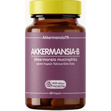 Akkermansiam-B Probiyotik Prebiyotik 60 Kapsül