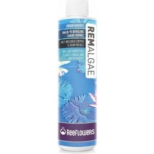 Reeflowers REM Algae 85ML Yosun Giderici Balık ve Bitkilere Zarar Vermeden Etkili Çözüm