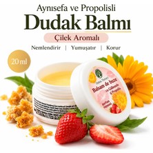 Herbal Therapy Çilek Aromalı Nemlendirici Dudak Balmı 20 ml – Aynısefa, Propolis ve Hindistan Cevizi Yağı İçeren Lip Balm