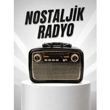 Astraltech Müzik Kutusu Bluetooth Bağlantılı El Fenerli Nostaljik Tasarım Radyo