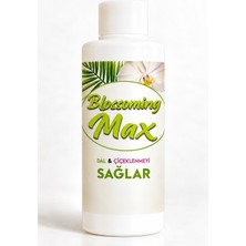 Blossomingmax - Orkideler Için Dal ve Çiçek Destekleyici Premium Besin 100 ml