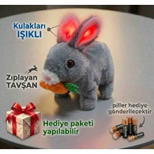 Toys Işıklı, Zıplayan Sevimli Tavşan, Renk Seçenekleri Renk Renk Oyuncak Tavşan