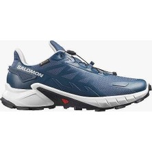 Salomon Supercross 4 Gtx Erkek Patika Koşu Ayakkabısı L45447400