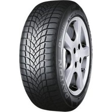 Dayton DW510 Evo 205/55 R16 91H Kış Lastiği - 2026