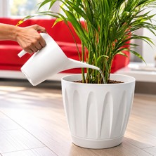 2 Lt Çiçek Sulama Kabı Kaliteli Plastik Kaktüs Orkide ve Çiçek Sulama Kabı