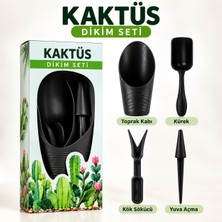 4 Parça Mini Kaktüs Dikim Seti-Kaktüs Dikim Seti Antrasit