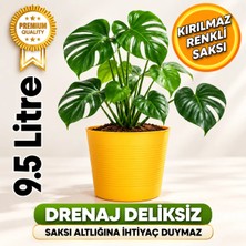 Hüskon Ticaret Sarı Deranjli 9.5 Litre Dekoratif Bitki Saksısı- Iç-Dış Mekan Bitkileri Için Uygun Saksı