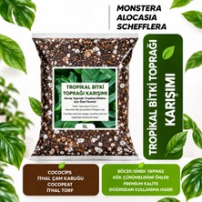Hüskon Ticaret Plant Home Tropikal Bitki Toprağı Karışımı 5 Litre Monstera Alocasia Schefflera İçin Sinek Yapmayan Formül