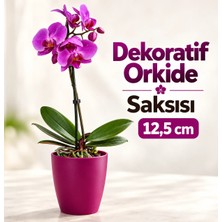 Dekoratif Vişne Orkide Saksısı - 4 Adet Set Fiyatlı - 12 Pot Üretim Saksısına Uygun Kaliteli Ürün