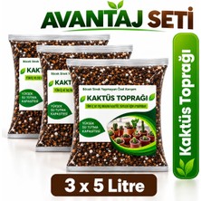 Plant Home Powermix 15 Litre Kaktüs Toprağı - Kaktüs ve Sükulent Için Böcek Sinek Yapmayan Özel Karışım