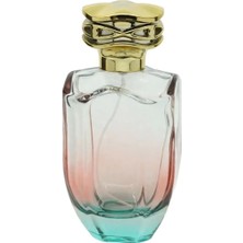 Parfüm Şişesi 100 ml 3 Adet Çift Renkli Oval Model