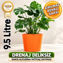 Hüskon Ticaret Turuncu Drenajlı 9.5 Litre Dekoratif Bitki Saksısı - Iç-Dış Mekan Bitkileri Için Uygun Saksı