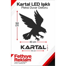 Premium Kartal LED Işıklı Pleksi Duvar Dekoru 50X40 cm Kartal Yazılı