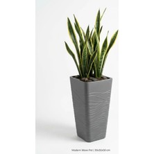 Kastasaksı Iç Hazneli Modern Dalga Desenli Yüksek Kare Saksı 30X30X58 cm – Antrasit Plastik Uzun Dış ve Iç Mekan Saksısı