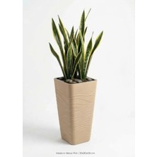Kastasaksı Iç Hazneli Modern Dalga Desenli Yüksek Kare Saksı 30X30X58 cm –koyu Krem Plastik Uzun Dış ve Iç Mekan
