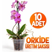 10 Adet Orkide Üretim Saksısı - Plastik Şeffaf Orkide Üretimine Uygun Saksı