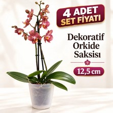 Dekoratif Şeffaf Orkide Saksısı - 4 Adet Set Fiyatlı - 12 Pot Üretim Saksısına Uygun Kaliteli Ürün