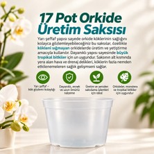 17 Pot Orkide Üretim Saksısı - Tropikal Bitki ve Köklü Bitkiler Için Özel Üretim Saksısı 2 Adet