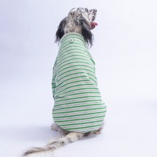 Pawstar Yeşil Marseille Orta-Büyük Irk Çizgili Köpek Sweati Köpek Kıyafeti