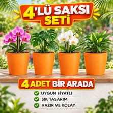 Dekoratif Turıncu  Orkide Saksısı - 4 Adet Set Fiyatlı - 12 Pot Üretim Saksısına Uygun Kaliteli Ürün