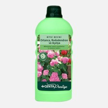 Genta Prestige Ortanca Rododendron ve Açelya Için Sıvı Besin