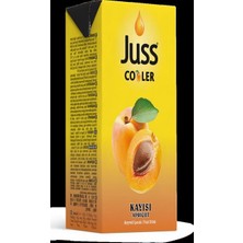 Juss Kutu Kayısı 200ML  Meyve Suyu 27 Adet