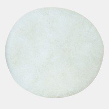 Proxxon PROX28664 Wp/e Için Parlata Diski 28664