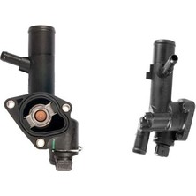 Continental Contınental Ctam 6PK1244 | Kanallı Kayış A17DTJ / A17DTR 1.7cdtı