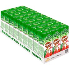 Bezos Tropix Meyve Suyu Vişne 200 ml (27 Adet)