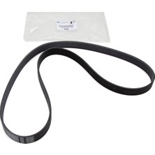 Continental Contınental Ctam 4PK635 | V Kayışı
