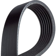 Maher 6PK1550 | Kanallı Kayış
