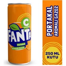 Fanta Portakal Kutu 250 ml * 24'lü