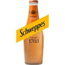 Schweppes Mandalina Aromalı Gazlı Içecek Cam 250 ml