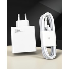 Kaliteyi Bul 120W Fast Şarj Aleti Type-C Girişli