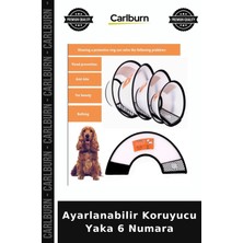 Carlburn Özel Üretim Evcil Hayvan Veteriner Kedi Köpek Sağlık Ayarlanabilir Koruyucu Yaka 6 Numara