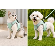 Dolozena Nefes Alan Kumaş Air Mesh Kedi Köpek Göğüs Tasması Xx Small 28X32 cm Gri