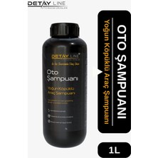 Detayline Oto Şampuan