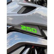 NK250 Için Depo Alt Kısım Ufak 250 Yazıları (Sağ ve Sol)