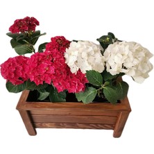 Str Store Ahşap Saksı Orta Boy 50X30X27