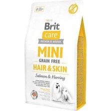 Bin1çeşit Mini Hair Skin Somonlu ve Ringa Balıklı Küçük Irk Tahılsız Yetişkin Köpek Maması 2 kg