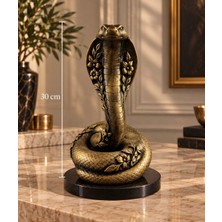Hancıoğlu Çiftliği Dekoratif Yılan Biblosu Gold-Siyah 30 cm
