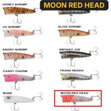 Ryuji Sea Popper 7cm 8.5gr Top Water Maket Yem