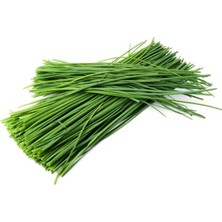 Krgz Ticaret Doğal Çam Yaprağı Katkısız Aromatik Çam Iğnesi 100 gr