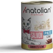 Bin1çeşit Premium Somonlu Ezme Yetişkin Kedi Konservesi 400 gr