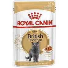 Bin1çeşit British Shorthair Adult Pouch Yetişkin Kedi Konservesi 85 gr