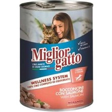 Bin1çeşit Somon Balıklı Yetişkin Kedi Konservesi 405 gr